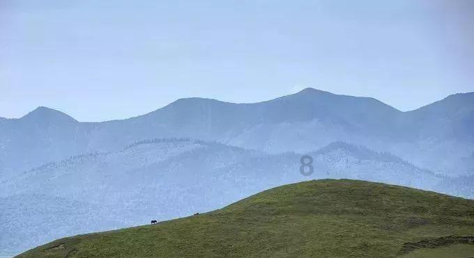 逃离阴森的岛屿